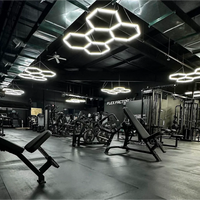 Hexagon garage verlichting