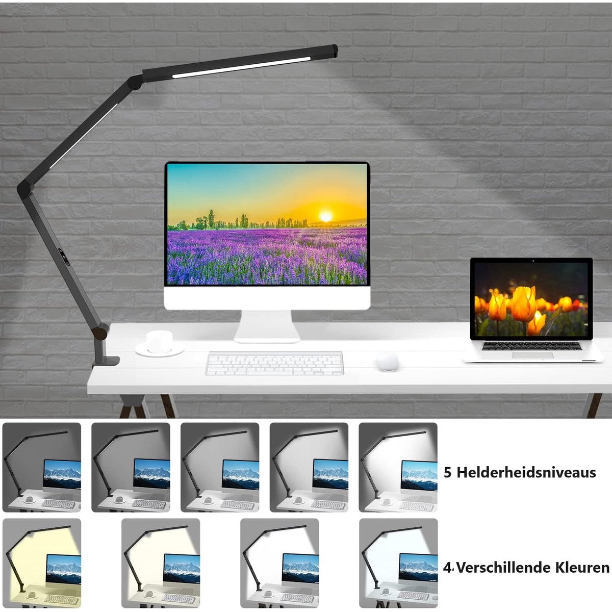 LED Bureaulamp Dual Light Source